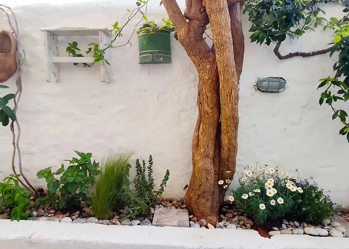 Casa vacanze Town House Near Old Town With Rooftop Jacuzzi *